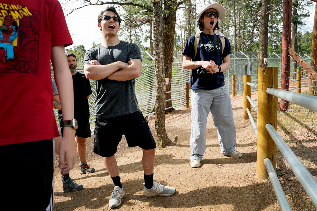 A group of wildlife enthusiasts, including five CC students instructed by assistant professor, Amanda Minervini, attend a tour on June 27 of the Colorado Wolf and Wildlife Center in Divide, CO.  Photo by Jamie Cotten / Colorado College